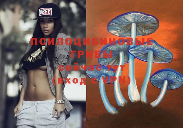 прущий лед Дмитровск