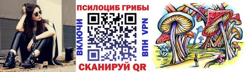 Псилоцибиновые грибы Cubensis  площадка телеграм  Балаково 